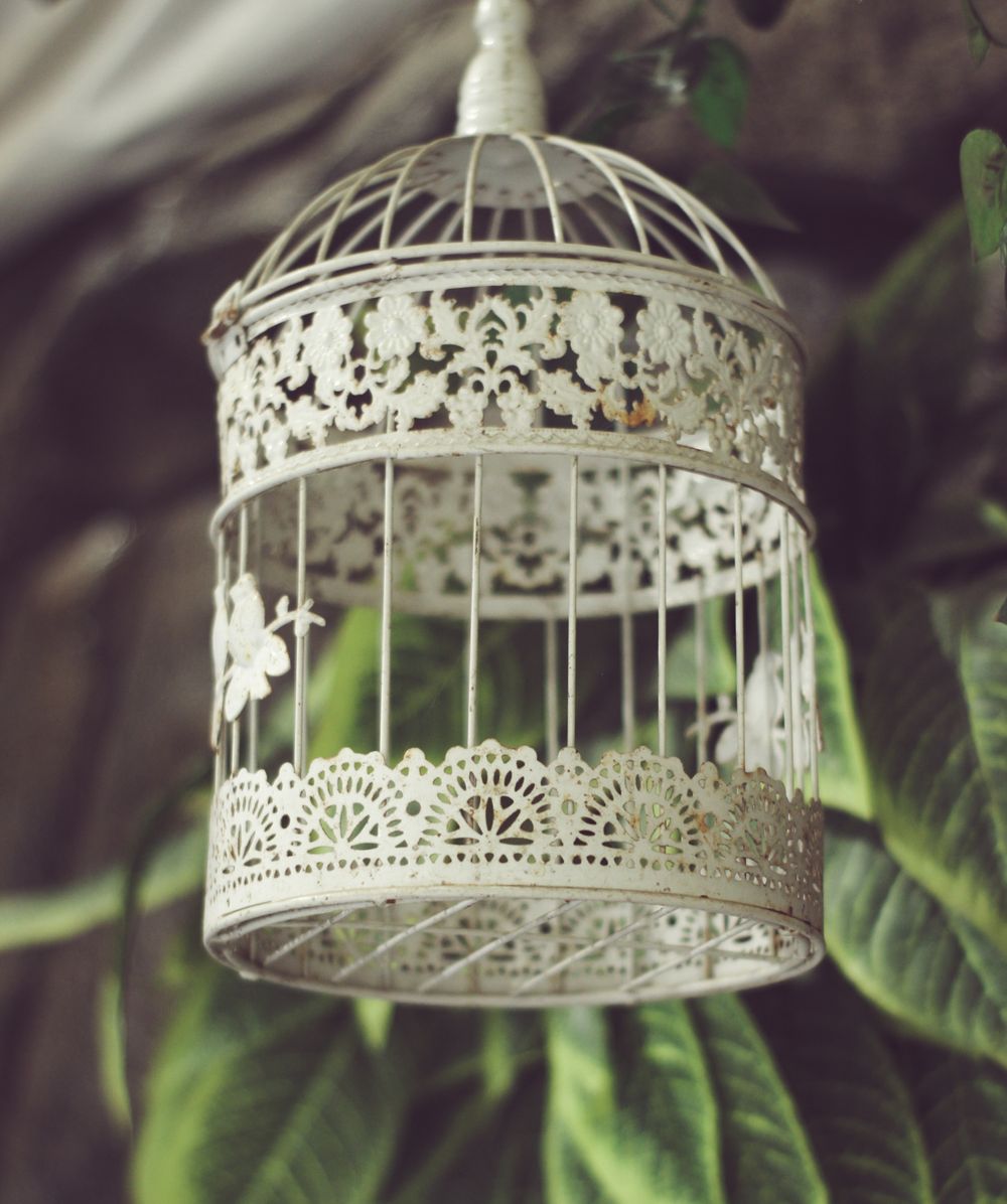 A bird cage